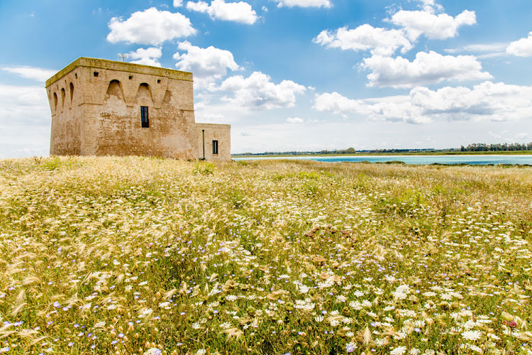 FarmHouse Le Terrazze di Serranova, among Ostuni, Brindisi, Salento