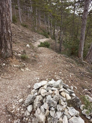 Sentiero del Pino Solo