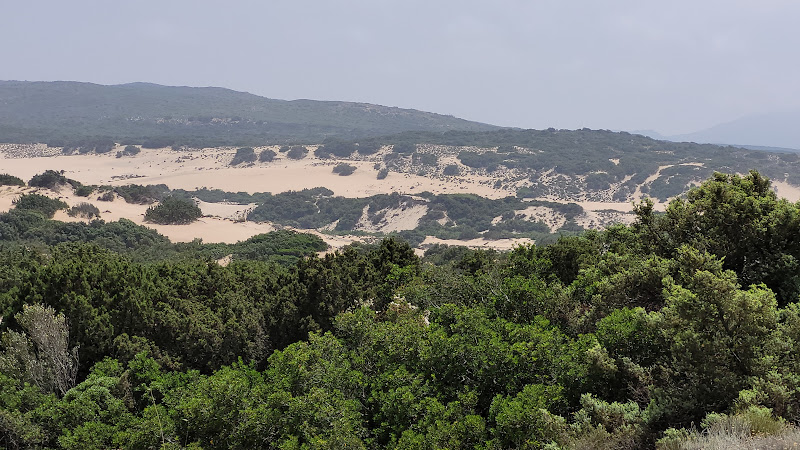 Dune di Piscinas