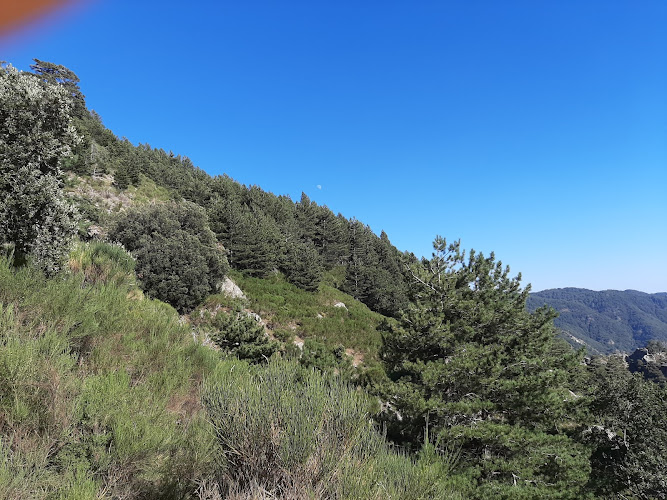 Amendolea waterfalls trail