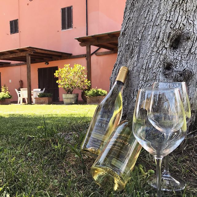 Azienda Agricola Brancatelli Srl