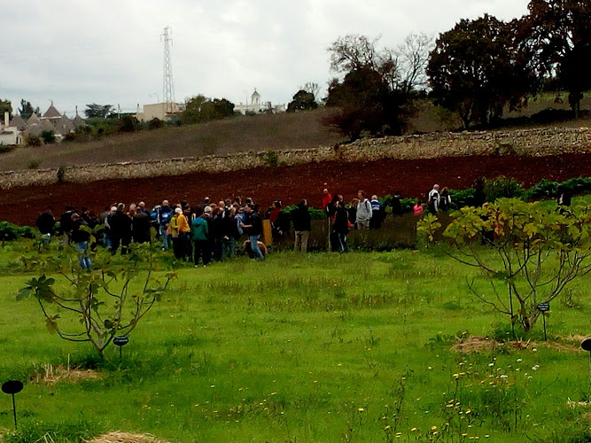 Conservatorio botanico "I giardini di Pomona"