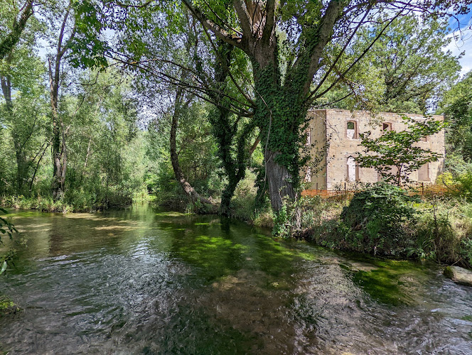 Riserva naturale regionale Sorgenti del Fiume Vera