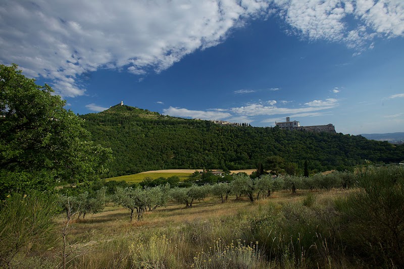 Bosco di San Francesco