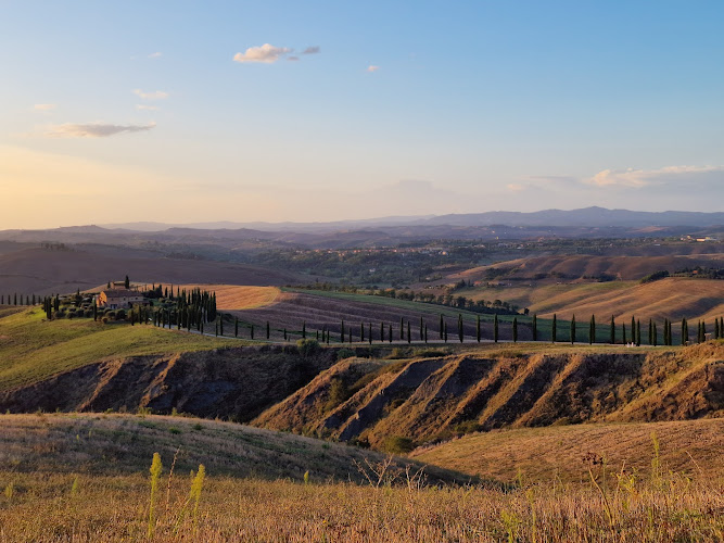 Crete Senesi vista