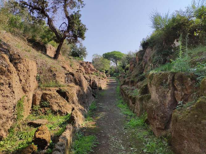 Via degli Inferi - Necropoli Banditaccia