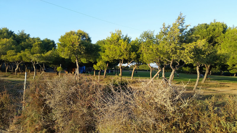 Parco di Molentargius