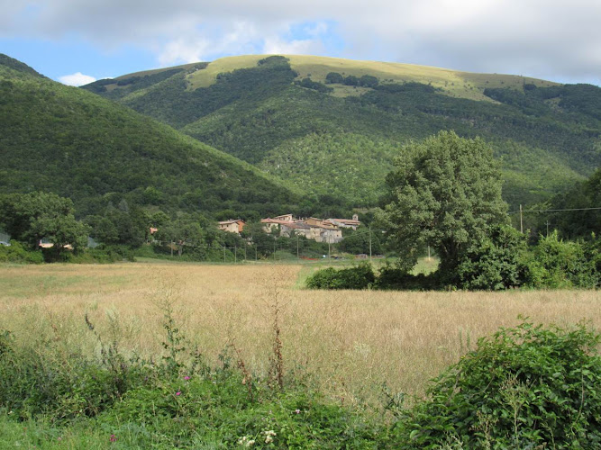 Nottoria Quercia Secolare