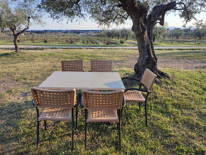 Street food "Boia che panino" panini, TAGLIERI, piatti freddi, GALLETTI e pancetta al GIRARROSTO vicino a FOLLONICA