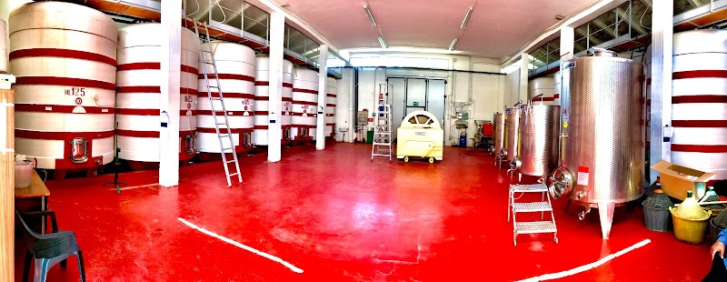 Fattoria Biologica Il Pino - Produzione Vino e Olio Biologici