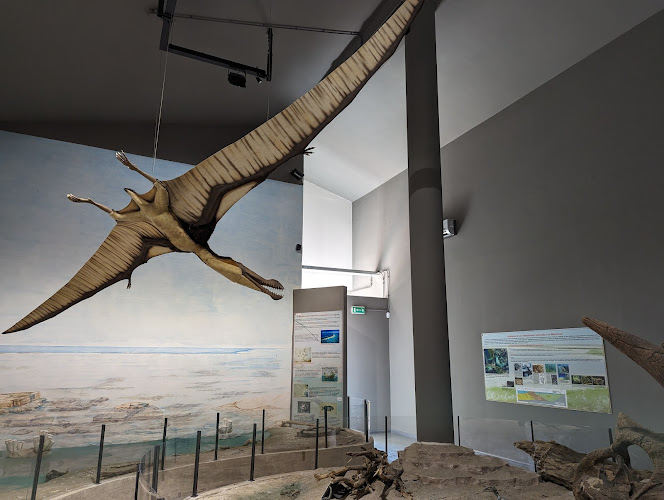 Museo Paleontologico