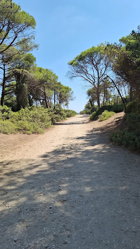 Pineta della Feniglia