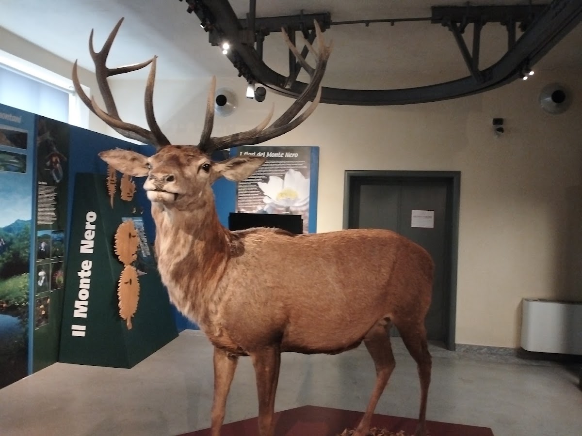 Museo di Storia Naturale