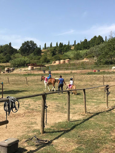 Il Ranch di Carlotta a.s.d.