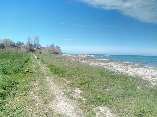 Natural Reserve Borsacchio