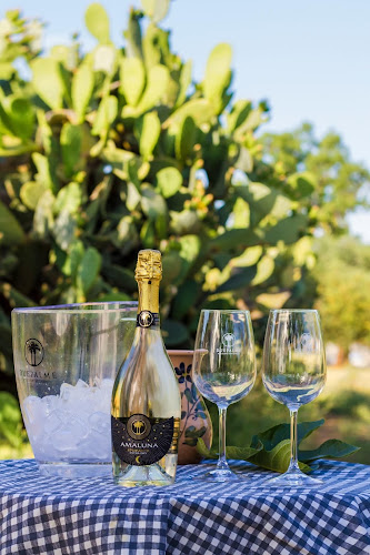 Cantine Due Palme - ShowRoom Monopoli di Andrea Quarta