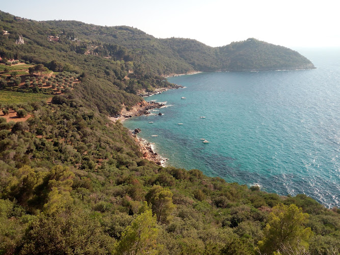 Torre della Cacciarella