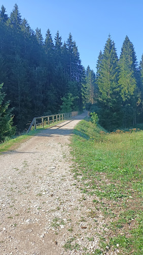 Road of the Old Little Train