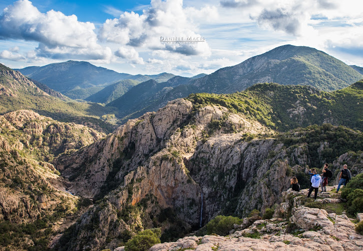 Spendula de Piscina Irgas