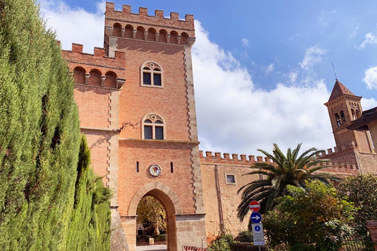 Bolgheri Food & Wine Tours