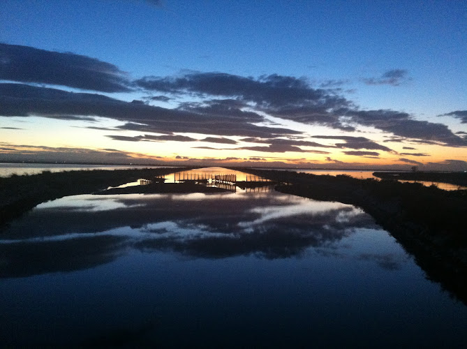 Riserva Naturale delle saline