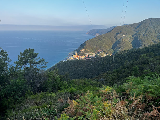 Sentiero Verde azzurro