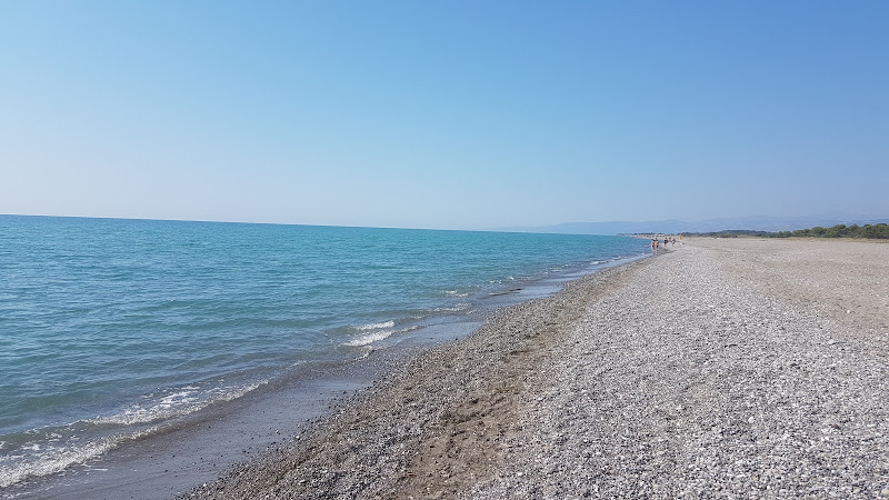 Oasis of Bosco Pantano