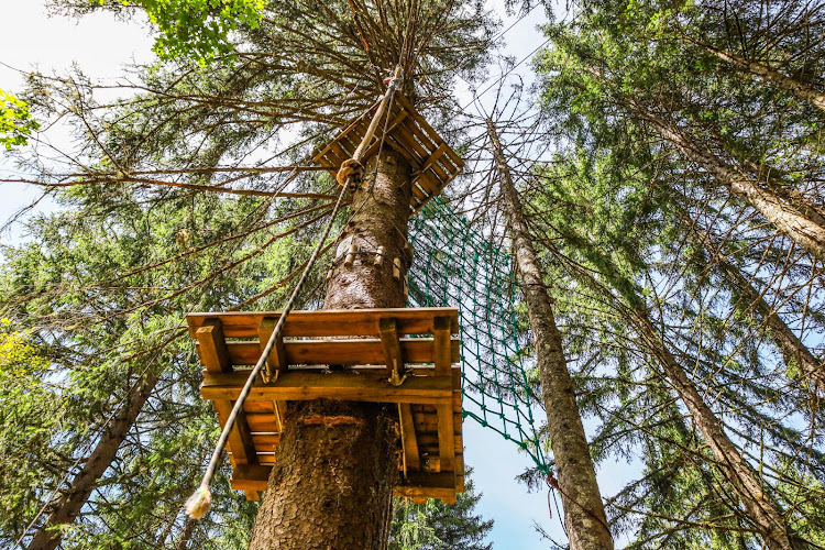 Parc d'accrobranche La Forêt Magique