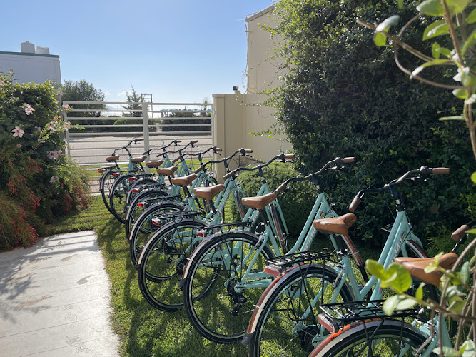 Bici Center srl - Bikeshopmore srl - Pistidda.com