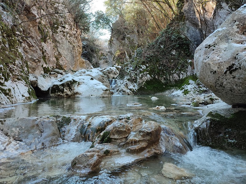 Oasi WWF Guardiaregia-Campochiaro