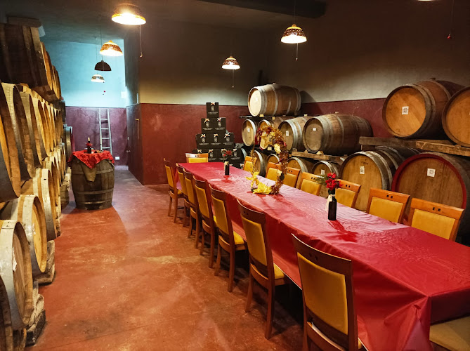 Azienda Agricola L'Arco Antico S.R.L.