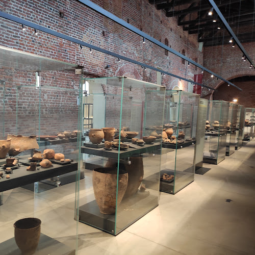 Museo Archeologico Nazionale della Lomellina