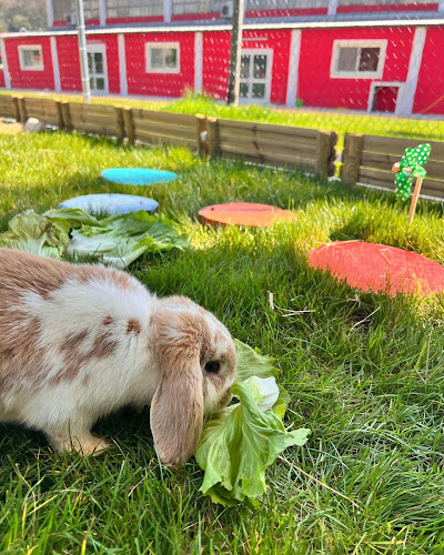Fattoria Didattica l'Arcobaleno