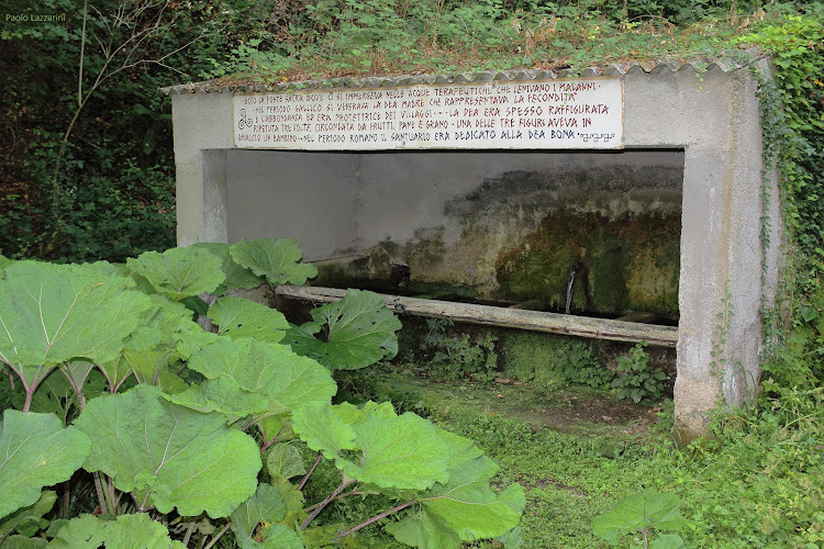 State Archaeological Museum of Arcevia