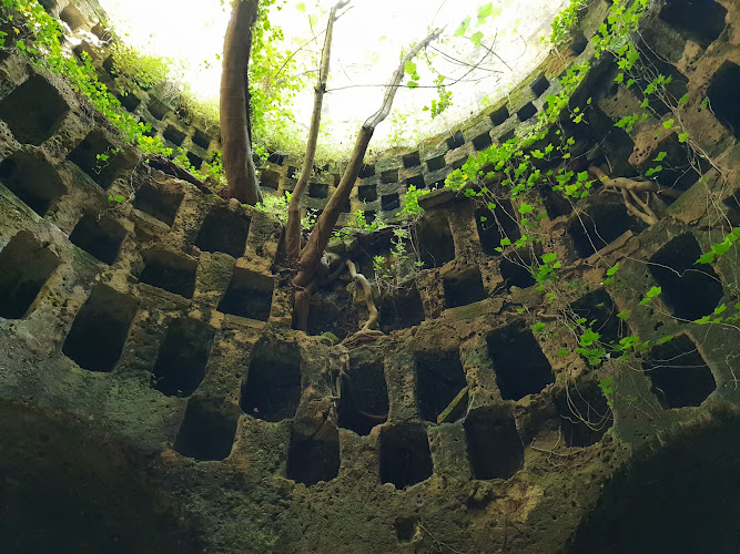 Ipogeo di Torre Pinta