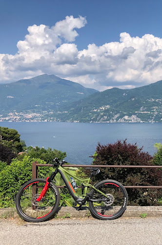 VeryWell bike and more