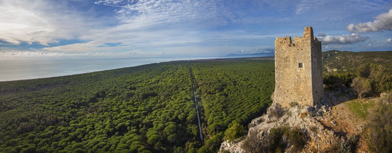 Parco regionale della Maremma