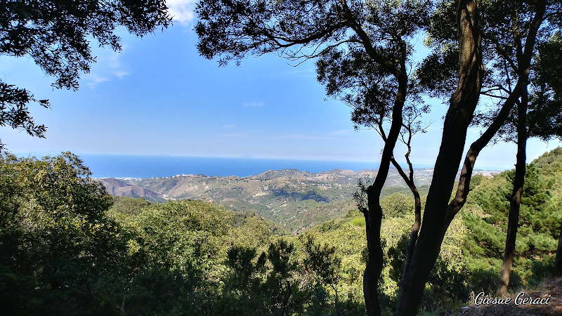 Colli San Rizzo Hiking Experiences