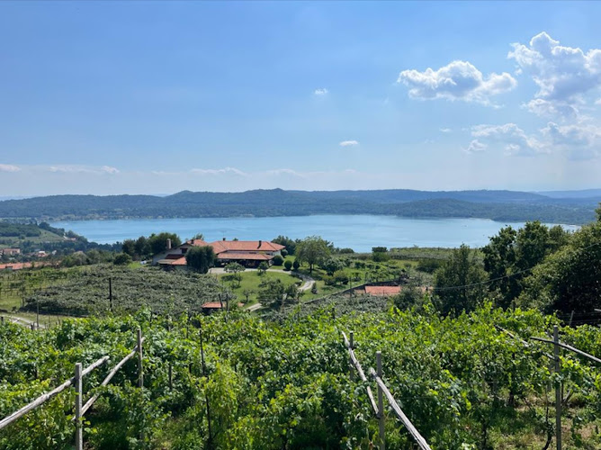 Panchina Gigante #187 Viverone Big Bench