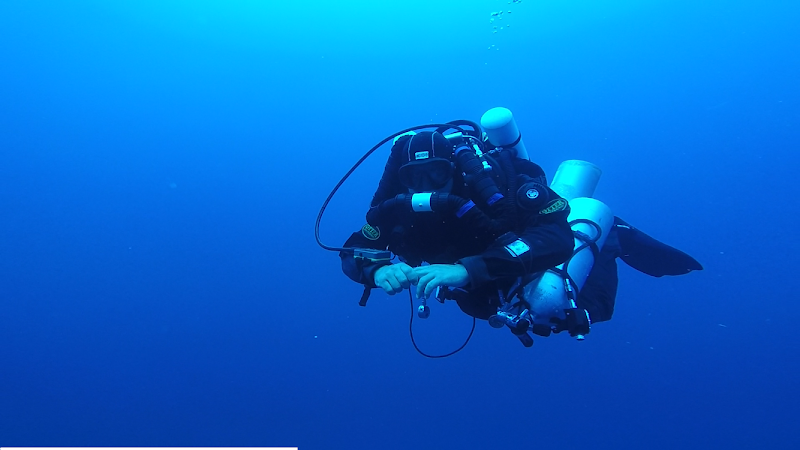 centro immersioni civitavecchia