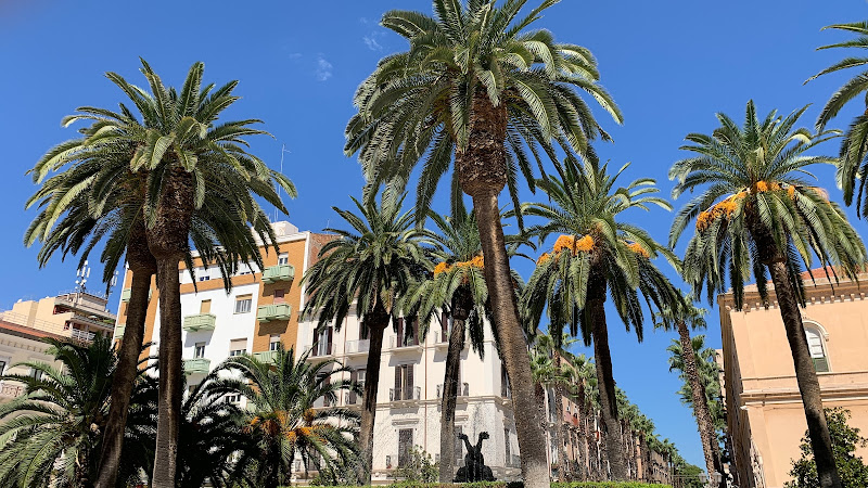 Piazza Maria Immacolata