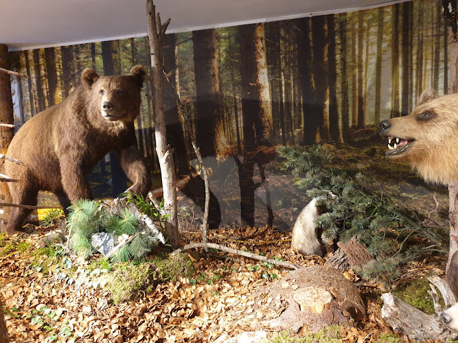 Centro Documentazione Luserna - Dokumentationszentrum Lusern