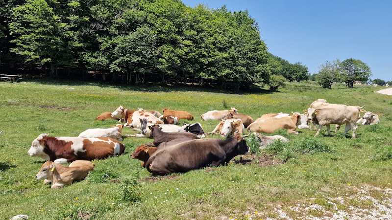 Campitello di Sepino