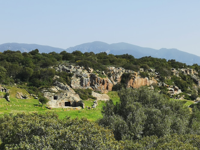 Necropolis of Montessu