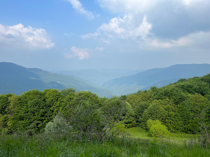 Panchina Gigante in legno