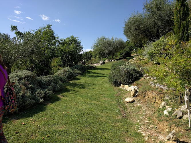 Azienda Agricola Giardino Officinale di Torzolini Filippo