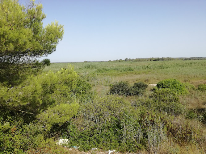 Spiaggia di Palude del Conte