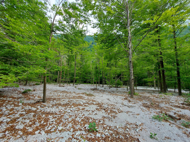 Sentiero didattico "Pian dei ciclamini" / Una pot "Planjava ciklam"