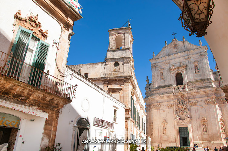 Wine experience Vigna il Castagno