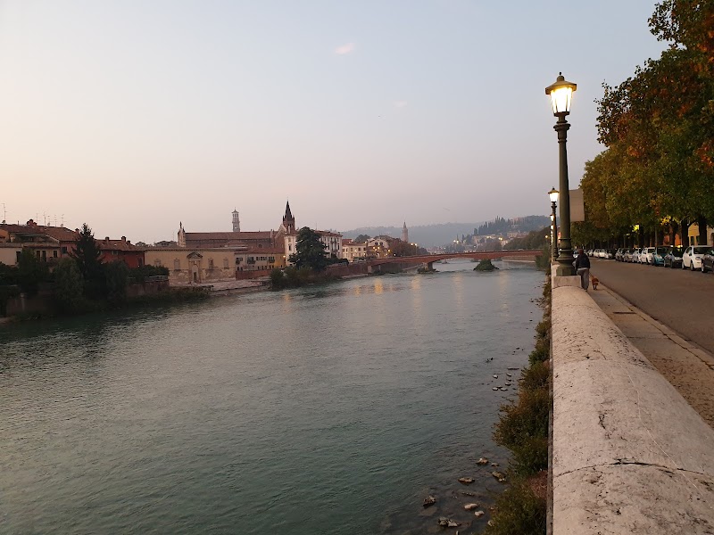Università degli Studi di Verona- Dipartimento di Lingue e Letterature Straniere